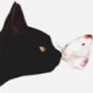 Meet your Posher, Kat